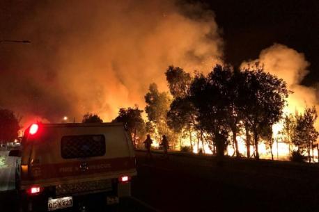 There was a brush fire in Coolum that started on Monday, January 16. It started about 4:30am and rangers suspect an arsonist, do you know anyone who has deliberately set a fire?