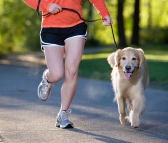 If you're a dog owner, do you take your dog running or jogging with you? (Image courtesy of: iStock, Vetstreet)
