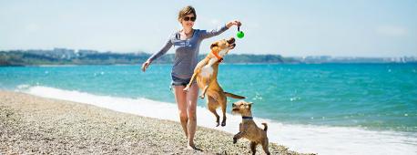Dogs need to exercise and be active in order to stay healthy, and live a long happy life, do you play with your dog (s)? (Image by: Purina)