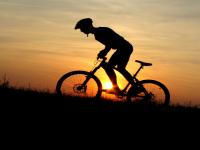 Lance Armstrong backed down on his fight about using performance enhancing drugs.Should he have?