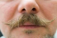 Have you submitted your Movember Moustache picture to support@tellwut.com for your chance to win 1,000 Tellwut points?