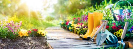 Tellwut Top Picks! National Gardening Month! Would you rather have a vegetable garden or a flower garden if you had to choose one?