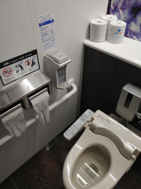 Do you like Japanese toilet that sprays water to wash you butt?