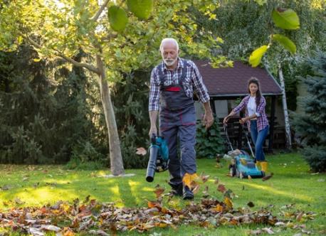 Study finds how Americans are sprucing up their yards