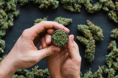 Today is 4/20, when cannabis fans gather in clouds of smoke at music festivals, celebrate with all-you-can-deals on chicken wings and other munchies, and take advantage of pot-shop discounts in legal weed states. Will you be partaking by consuming THC today?