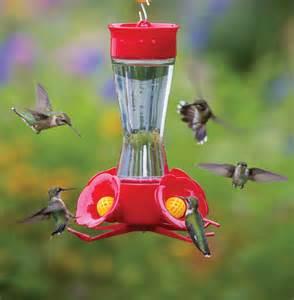 Do you have a Hummingbird feeder that you feed the birds with?