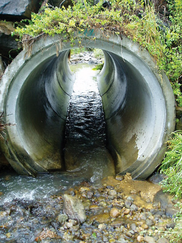 If we were feeling adventurous, we would walk through the cement culvert which ended at a large deposit of glacial boulders and a ten or 15 foot drop down to the stream bed. Climbing up and down those wet rocks to play in the little waterfall they created is without a doubt the stupidest act of my childhood- and terrific fun. I've never considered myself a risk taker, but apparently had my moments. Did you ever do something physically risky when you were a kid that you would never do today?