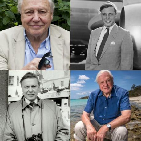 Are you a fan of David Attenborough?