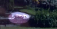 Creature on the loose in Milwaukee!