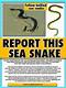 These dangerous creatures typically spend their entire lives in the ocean, and this is the first time the animal has been spotted in the Southern California area in about 30 years. Do you have plans to walk the shore in CA anytime soon?