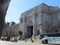 Have you ever been to the American Museum of Natural History in New York?