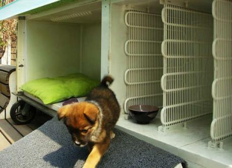 Would you consider taking an old refrigerator and turn it on its side and use one of the doors as an entrance ramp creating a deluxe doghouse?