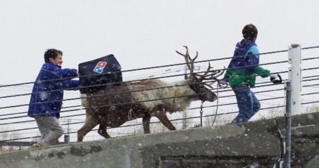 In order to get customers into the Holiday spirit and make the best of what's predicted to be one of the snowiest winters in recent Japanese history, Dominos is training Santa's flight team to deliver a different kind of present this Holiday season. The company is taking this potential delivery innovation seriously and is working closely with reindeer breeders to make it all happen. Would you like to see your pizza delivered by Reindeer?