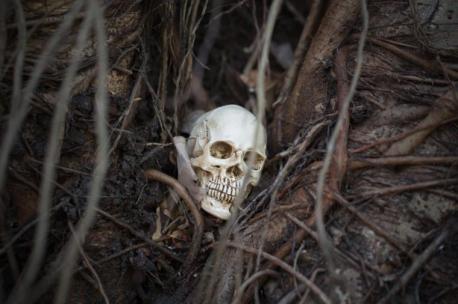 Connecticut: The shallow graves beneath New Haven Green - In 2012, Hurricane Sandy caused a tree to fall on New Haven Green. Tangled in the roots was a human skull, dating back around 200 years. An archeological dig followed, yielding more body fragments, as well as coffin nails. It's suspected more than 5,000 bodies are buried under the Green and that they may have been