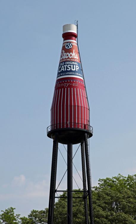 Illinois - South of downtown Collinsville in Illinois stands the world's largest catsup bottle. (Yes, that's catsup, not ketchup.) Unfortunately, though, there's no condiment in this bottle. Built in 1949, the structure functions as a water tower instead. It's known for being an iconic, albeit strange landmark in Illinois and is even listed on the National Register of Historic Places. Have you ever visited this catsup bottle?