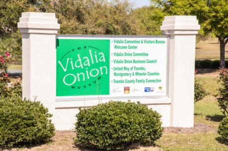 Georgia: Vidalia Onion Museum - When there's a bulb vegetable named after your town, you'd better believe you'll be honoring it. The Vidalia Onion Museum goes through past and present, showing how the humble onion changed the economy and cooking. You can even see the onions in action—the tiniest registered Vidalia onion field is on the museum grounds. Have you ever visited this museum?