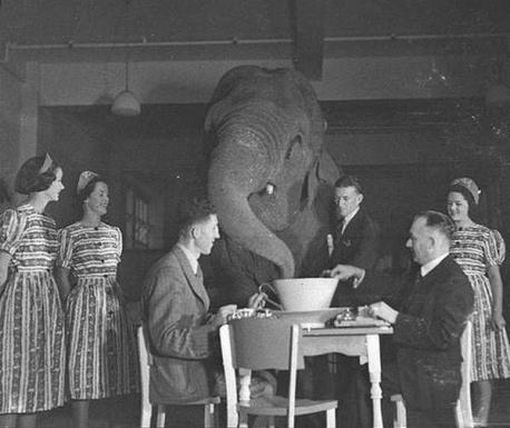 Drinking tea with an elephant in 1939. Do you enjoy a good cup of tea?