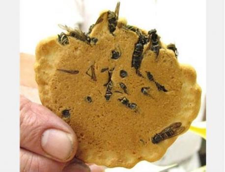 Wasp Crackers – Japan - Yep, you guessed it, it's a biscuit filled with wasps. Think chocolate chip cookies, only the insects replace the chocolate chips. Apparently, the digger wasp, which the biscuit contains, has a pretty mean sting. I wish your tongue good luck. Have you ever had this food?