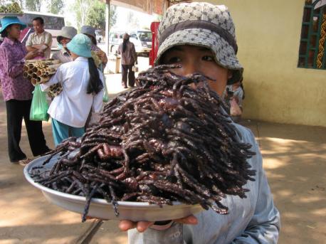 Fried Spider – Cambodia - Fried spider is a regional delicacy popular in the Cambodian town of Skuon, prepared by marinating it in MSG, sugar, and salt and then frying it in garlic. Apparently, it has more meat on it than a grasshopper, but also has brown sludge in the abdomen, which consists of mainly innards, eggs and excrement. Yum. Have you ever had this food?