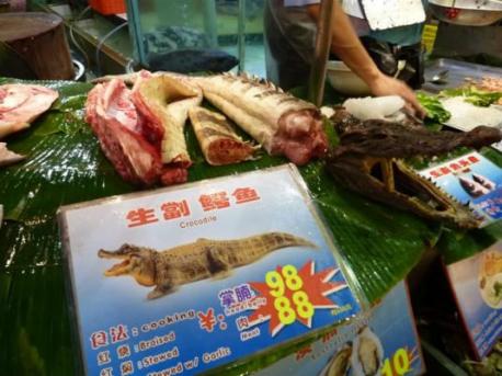 Crocodile – Australia, Southeast Asia and Africa - Not only harvested for shoes, crocodile meat is considered a delicacy in many places around the world, supposedly tasting like a cross between chicken and crab. Although crocodiles are protected in many parts of the world, crocodile meat is usually farmed. Have you ever had this food?