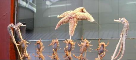 Starfish – China - Served dry and covered in hard and spiny armor, this isn't a snack you want to bite into. According to online accounts, you want to break off a leg and peel open the skin to get at the green colored meat inside. Hopefully it won't regenerate in your stomach...food for thought! Have you ever had this food?