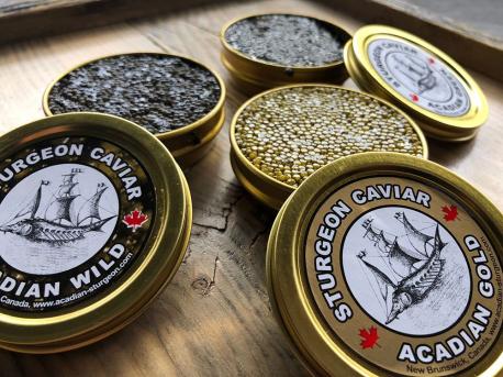 A safari—for caviar connoisseurs - Carters Point, New Brunswick - Forget those pricey Russian imports! Not only is premium caviar now being produced in Carters Point, New Brunswick, but you also have the chance to sample it firsthand on a 