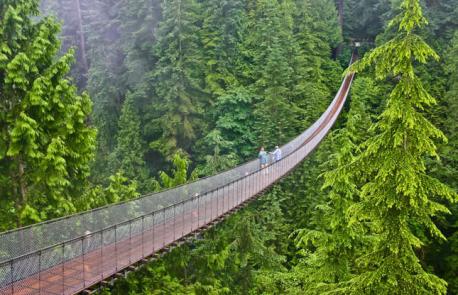 British Columbia, Vancouver - Capilano Suspension Bridge - A popular Vancouver tourist attraction, the Capilano Suspension Bridge gives visitors a chance to wander amid the canopy of a stunning west coast forest, just 15 minutes from downtown Vancouver. The original footbridge on the property was a simple rope bridge used to cross the canyon above the Capilano River, but it's since grown into a sturdy cabled bridge. The modern 450-foot (137m) long version still has a bit of a sway, which just adds to the fun of crossing it. Have you ever visited this bridge?