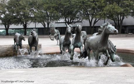 These graceful Mustangs in Las Colinas, Texas, represent the city's untamed past as a former ranch. African wildlife artist Robert Glen was commissioned to create these nine realistic bronze horses for the plaza fountain in 1976. After nearly a year of research and seven more of rendering, casting, and installing the equine statues, he completed this graceful work in 1984. Have you ever been to Las Colinas, Texas?