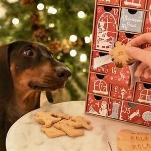 If you have any pets, have you ever bought them an Advent calendar?
