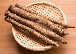 Do you like the taste of burdock root?
