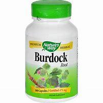 Have you ever taken a burdock supplement?