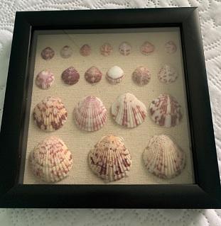 Shadow Boxes | Tellwut.com