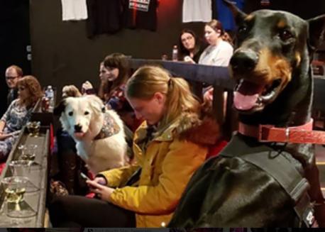 A theater in Texas provides bottomless wine or whiskey while enjoying a flick alongside your furry companion. The cinema has couches and treats are available for your pup, too! This theater doesn't show new releases but instead plays dog-themed movies every night.  They also have other fun 