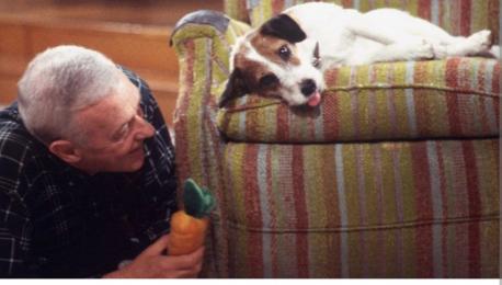 Eddie was a Jack Russell Terrier and best friend of Frasier's father, Martin (John Mahoney). While Eddie was most loyal to Martin, he seemed uncertain about Frasier (Kelsey Grammer), whom he would often gaze at without any real emotion. Much to the chagrin of the self-serving radio-show host. Did you ever watch Frasier?