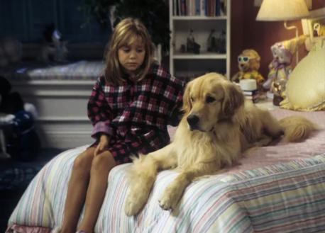 Comet entered the life of the Tanner family when his mother gave birth on Uncle Jesse's bed during the third season of the show. The owner let the Tanners pick one dog from the litter and young Michelle (Olsen twins) chose Comet. Over the years, Comet remained a beloved member of the Tanner clan, even when he ran away and the family searched the streets of San Francisco -- hitting all the traditional tourist attractions -- before the dog returned home. Did you watch Full House?