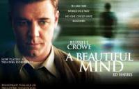 Have you ever seen the movie, 'A Beautiful Mind' based on the story of Nobel-winning mathematician John Nash, who suffered from decades of mental illness, and schizophrenia, all the while still being a mathematical genius , starring Russell Crowe?