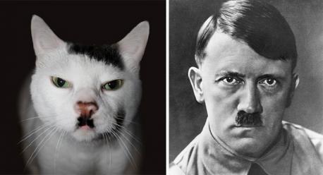 How about this car (whose name is Snowball) and Hitler. Do you see the resemblance?