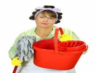 Do you think that housewives should be given a salary?