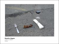 Sprinkle Brigade, a art-collective founded in 2005, has been 'revamping' dog feces with the objective of 