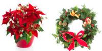 Poinsettias or wreaths?