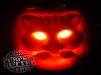 Are you going to be carving a pumpkin this Halloween?