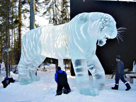 Heather Brice is a World Champion Sculptor who mainly carves and maintains sculptures at Alaska's Aurora Ice Museum. The picture shows a 12 foot tall tiger that she helped carve. After seeing the tiger are you interested in checking out her other works of ice art?