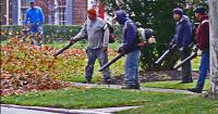 Do you think leaf-blowing machines should be abolished?