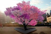 The Tree of 40 Fruit