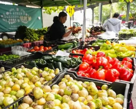 The Greenmarket at Bronx Terminal Market is a vibrant farmers' market that showcases local produce and goods. Open year-round, it's a great place to support local farmers and enjoy fresh, seasonal offerings. Do you frequent a greenmarket near you?