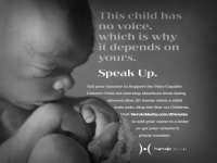 One of the newspapers reportedly agreed to run an alternate ad that shows a 20-24 week baby in utero, as long as it was clearly stated that it was a paid ad. How controversial do you find this ad compared to the first ad?