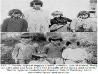 The primitive cultures Dr. Price studied understood the importance of good nutrition for parents, to ensure they had healthy children. Many of these groups required a period of premarital nutrition for both the mother and father, and child spacing, to permit the mother to maintain her full health and strength. Special foods were often given to pregnant and lactating women, as well as maturing boys and girls in preparation for future parenthood. Dr. Price found these foods to be high in fat soluble A and D. Do you think these findings should be studied by current health experts to help improve people's health today?