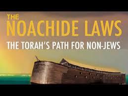 According to Judaism gentiles have to follow only 7 laws of Noah as a requirement of the God?