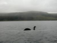 Do you believe some lakes have some kind of sea serpent living in them? (ie: Loch Ness Monster)