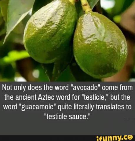 Does this change your perspective on avocados & guacamole?